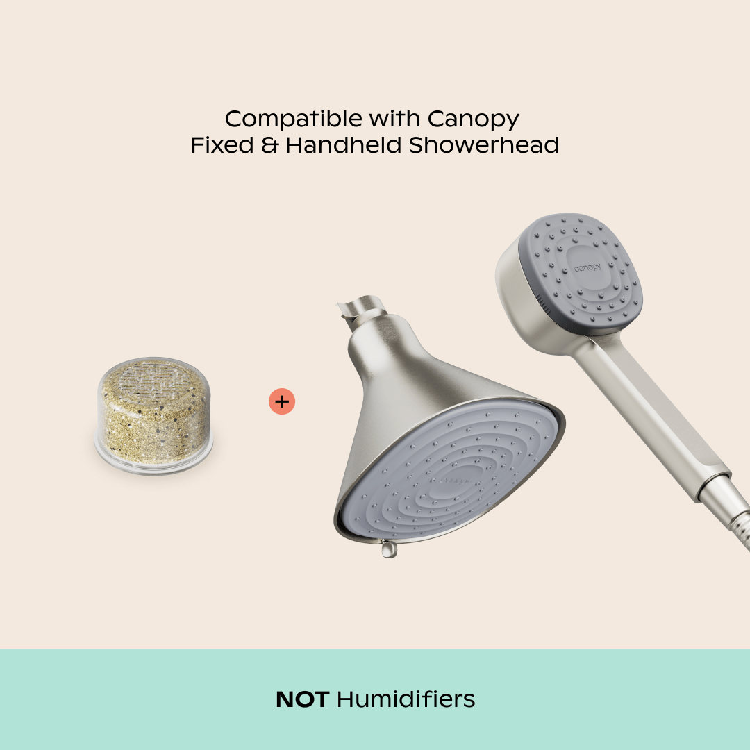Showerhead Filter 2-Pack - Image 2