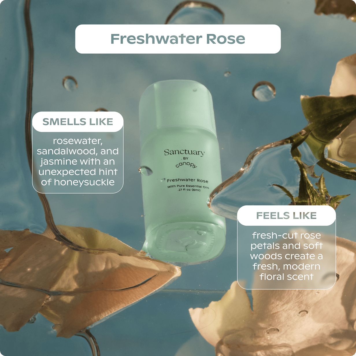 Sanctuary Aroma Kit - Image 5